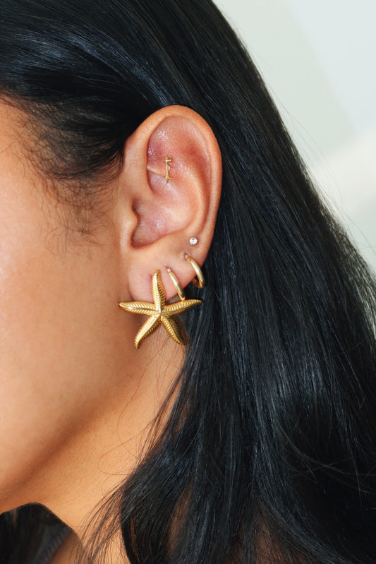 Starfish Earrings